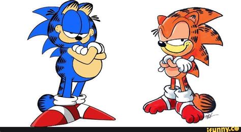 Garfield The Hedgehog And Sonic The Garfield