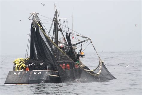 En Que Consiste La Pesca Industrial Pesca Información