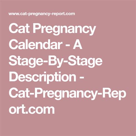 Cat Pregnancy Stages Week By Week Pictures Petswall