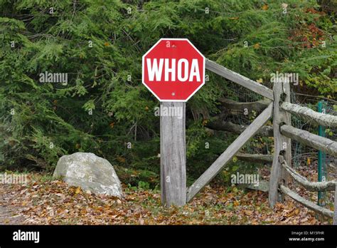 Whoa Stop Sign Hi Res Stock Photography And Images Alamy