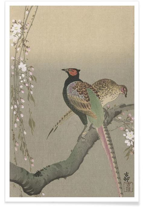Shôson Pheasants in a Cherry Blossom Branch Poster JUNIQE