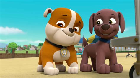 Watch Paw Patrol Season 5 Episode 3 Ultimate Rescue Pups Save The