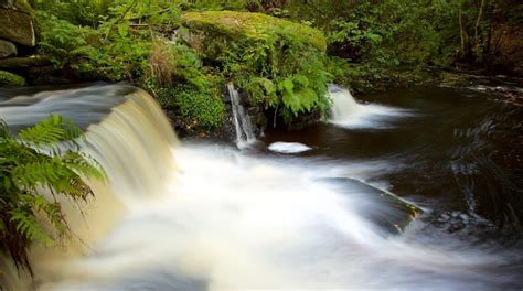 Rivelin Valley Nature Trail In Sheffield Uk