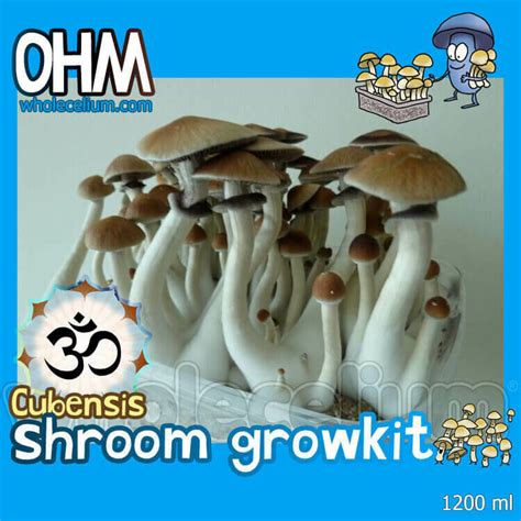 Shrooma Ohm Kit Magic Truffles Magic Mushrooms Grow Kits