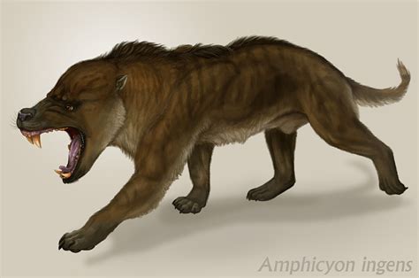 Amphicyonidae is an extinct family of terrestrial carnivorans belonging to the suborder caniformia. Amphicyon ingens — Weasyl