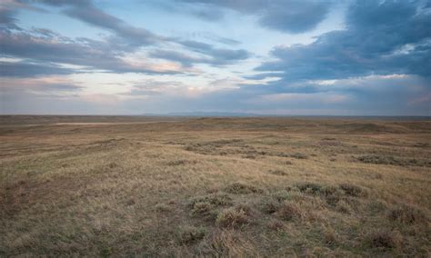 Saving The Grasslands Of The Northern Great Plains Stories Wwf