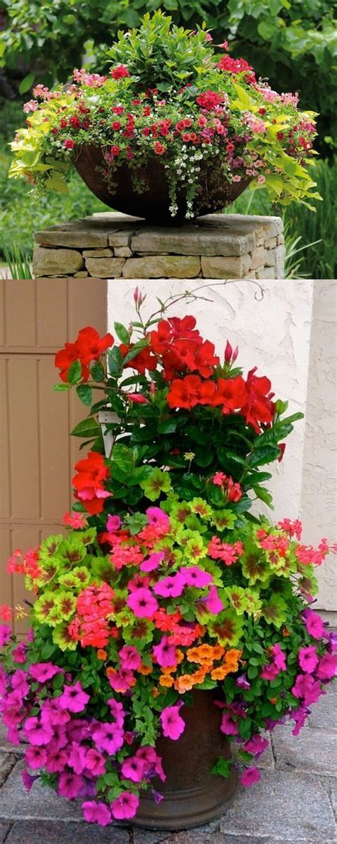 24 Stunning Container Garden Planting Ideas Mixed Flower Pots