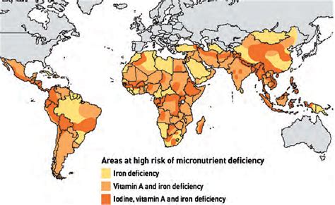 Figure 2 From Meeting The Challenges Of Micronutrient Malnutrition In The Developing World