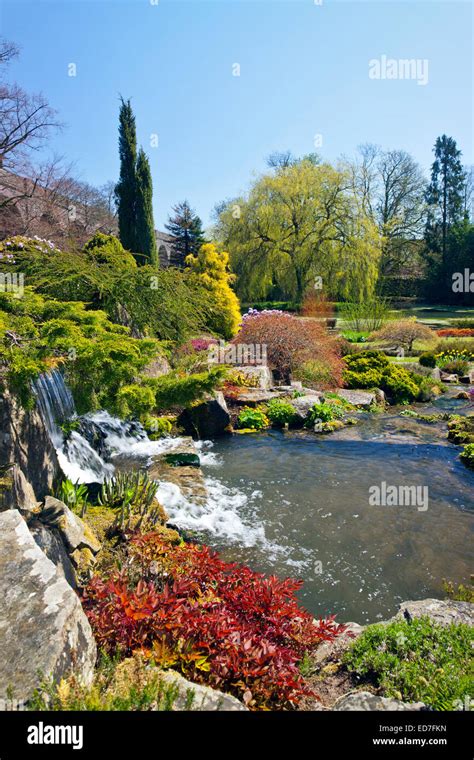 The Waterfalls In Kilver Court Gardens In Springtime Shepton Mallet