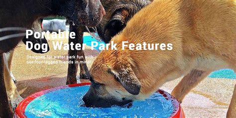 Dog Water Park Features For Your Portable Dog Splash Pad Splash Pad