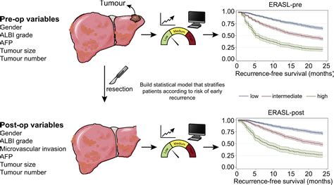 Supplemental Materials For Development Of Pre And Post Operative Models