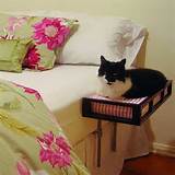 Cat Beds Next