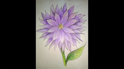 Some people can do it and some people can't. NATIONAL FLOWER OF MEXICO||dahlia|| how to draw dahlia ...