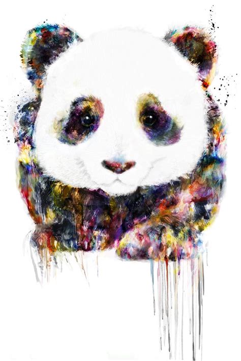 Pandas Daily Daiiypandas Twitter Panda Art Animal Art Art