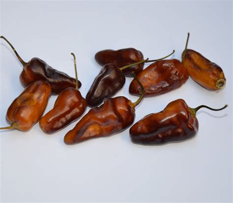 pimenta dioica allspice seeds