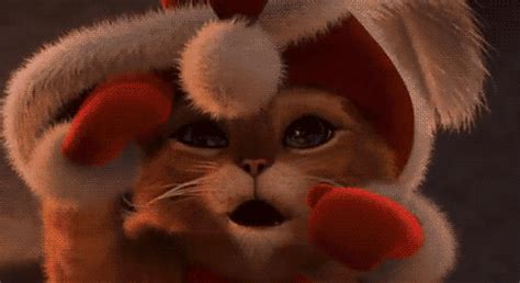 Cat Christmas  Find And Share On Giphy