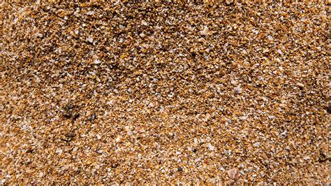 Sand Grains Of Sandy Beach Free Photo On Pixabay
