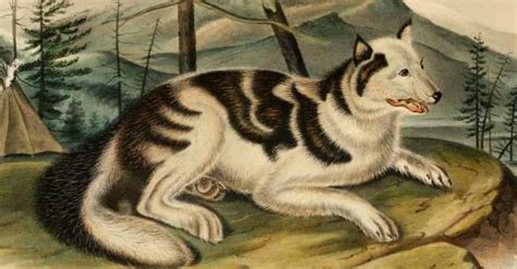 Complete List Of Extinct Dogs From Ferocious To Cute