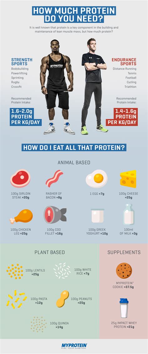 How Much Protein Do You Need [infographic] Infographic Plaza