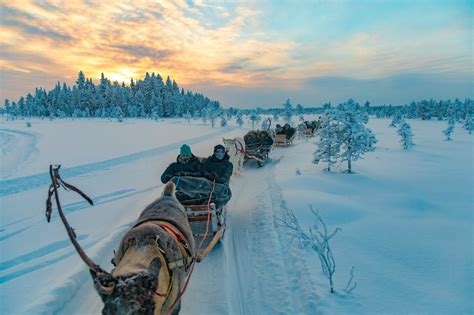 Reisjunk Lapland Travel De Ultieme Lapland Ervaring In één Week