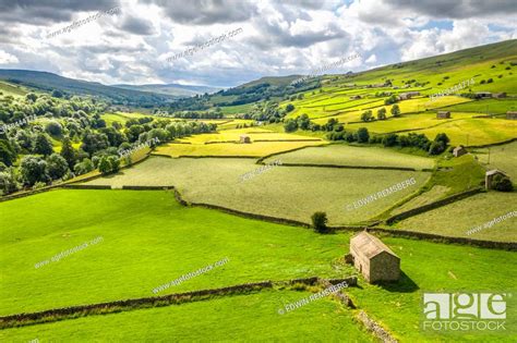 The Lush Green Countryside Of Swaledale Yorkshire Uk Stock Photo