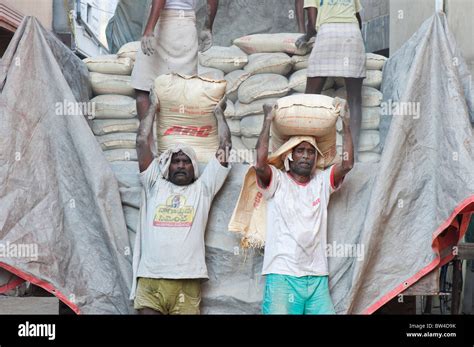 Indian Men Offloading Bags Of Cement From A Lorry To Construction Building Site Andhra Pradesh