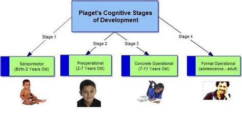 Piagets Stages Of Cognitive Development Timeline Timetoast Timelines