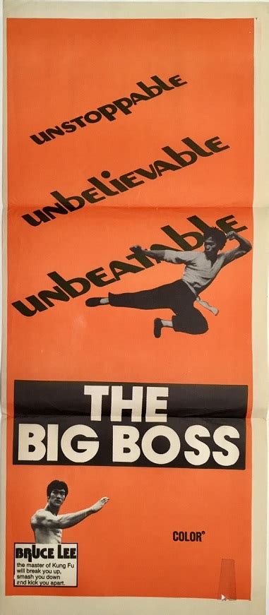 Big Boss The Tang Shan Da Xiong The Film Poster Gallery