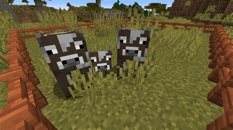 How To Mate Cows In Minecraft What Box Game