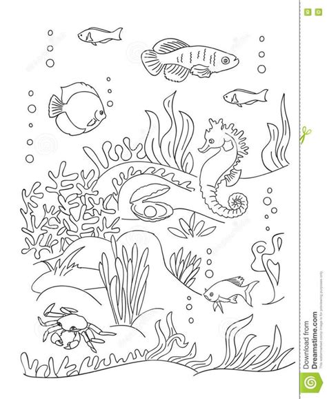 Page De Livre De Coloriage De Fond Marin Illustration De Vecteur