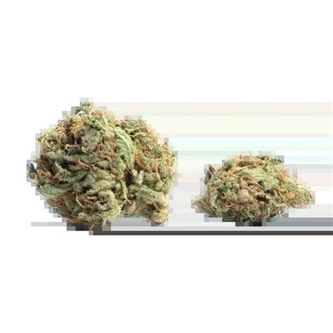 Variedad De Cannabis Cyber Pastel Híbrida