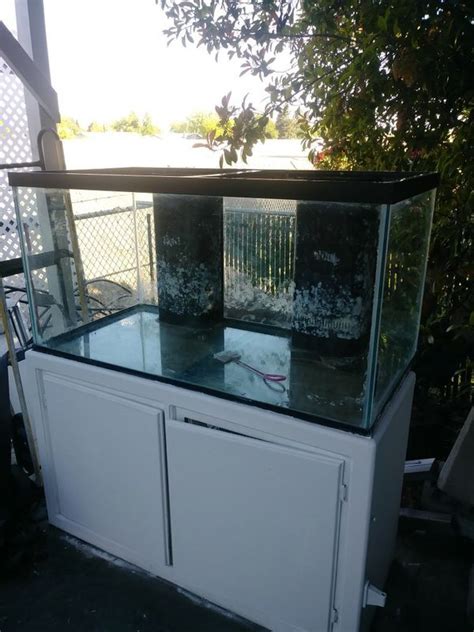 110 Gallon Fish Tank And Accessories For Sale In Sacramento Ca Offerup