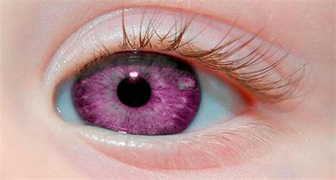 5 Cores De Olhos Mais Exóticas E Lindas Do Mundo Tumblr Amino Pt Amino