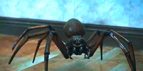 Manga Scariest Spiders In Horror Movies Ranked Mangahere Lol