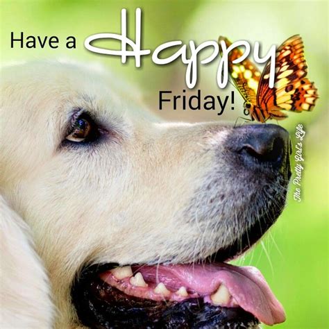 Hve A Happy Friday Pictures Photos And Images For