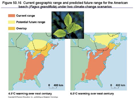 Figure 5016 Current Geographic Range And Predicted Future Range For