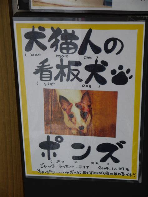 Dog Café Japan