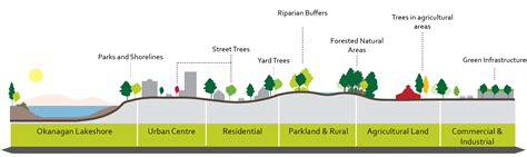 Sustainable Urban Forest Strategy Get Involved Kelowna