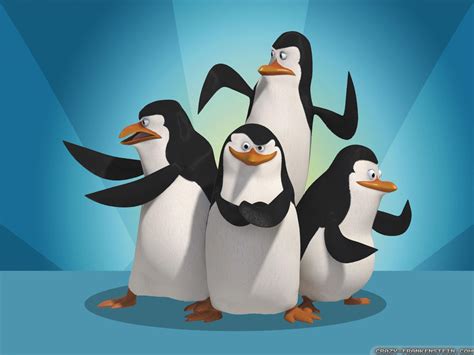 46 Penguins Of Madagascar Wallpaper On Wallpapersafari 116640 Hot Sex