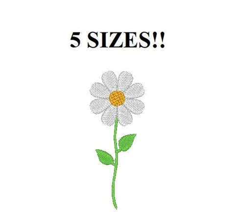 Daisy Machine Embroidery Design 5 Sizes Flower Embroidery Etsy