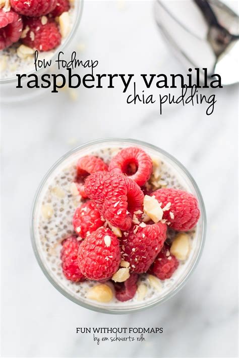 Low Fodmap Raspberry Vanilla Chia Pudding Recipe In 2022 Fodmap