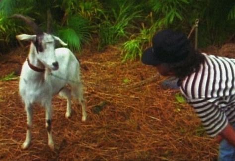 Jurassic Park The Goat And Steven Spielberg On Location R
