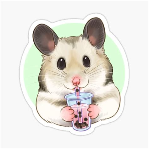 Hamster Ts And Merchandise Redbubble
