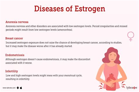 Estrogen Human Anatomy Image Functions Diseases And Treatments