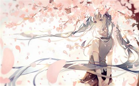 Aquaeyes Aquahair Cherryblossoms Flowers Hatsunemiku Longhair