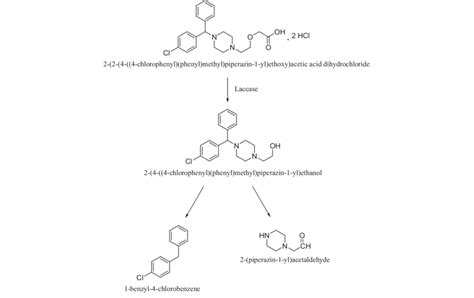 Degradation Pathway For Cetirizine Dihydrochloride Download Scientific Diagram