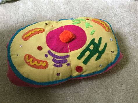 Animal cell grade 8 science. Animal Cell Pillow