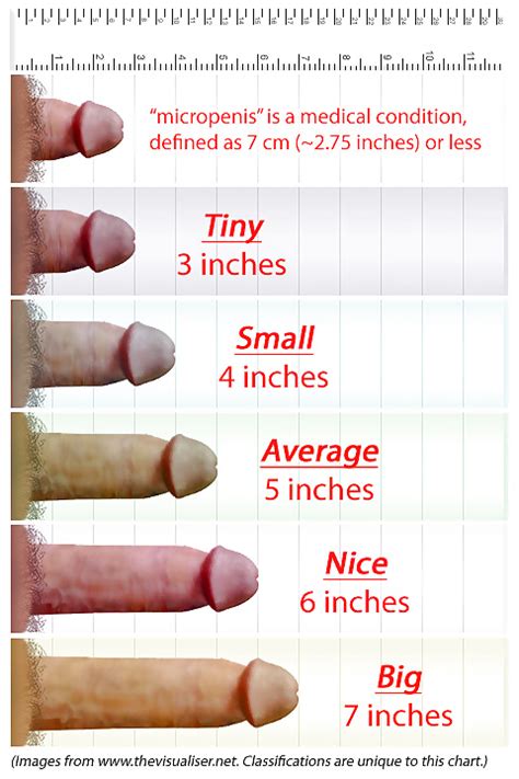Penis Size Chart 3 Pics Xhamster