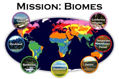 Biomes Elementary Library Libguides At Colegio Nueva