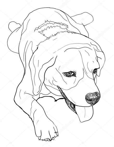 Dog Laying Down Side View Drawing